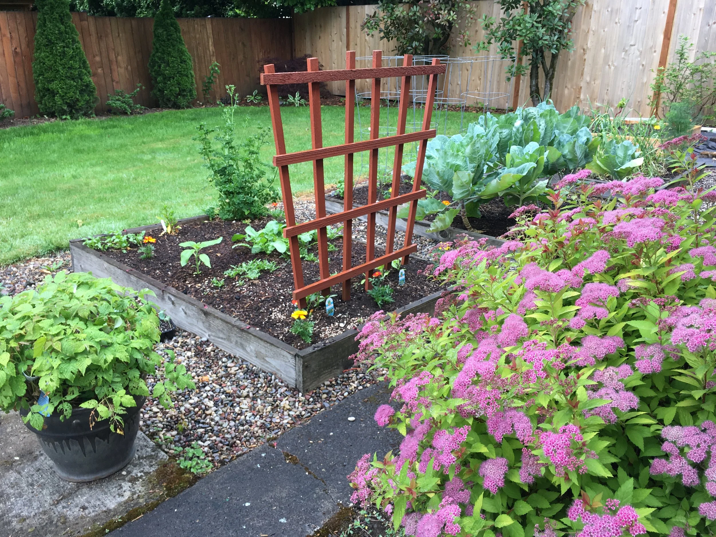 Five Tips for Creating an Edible Landscape