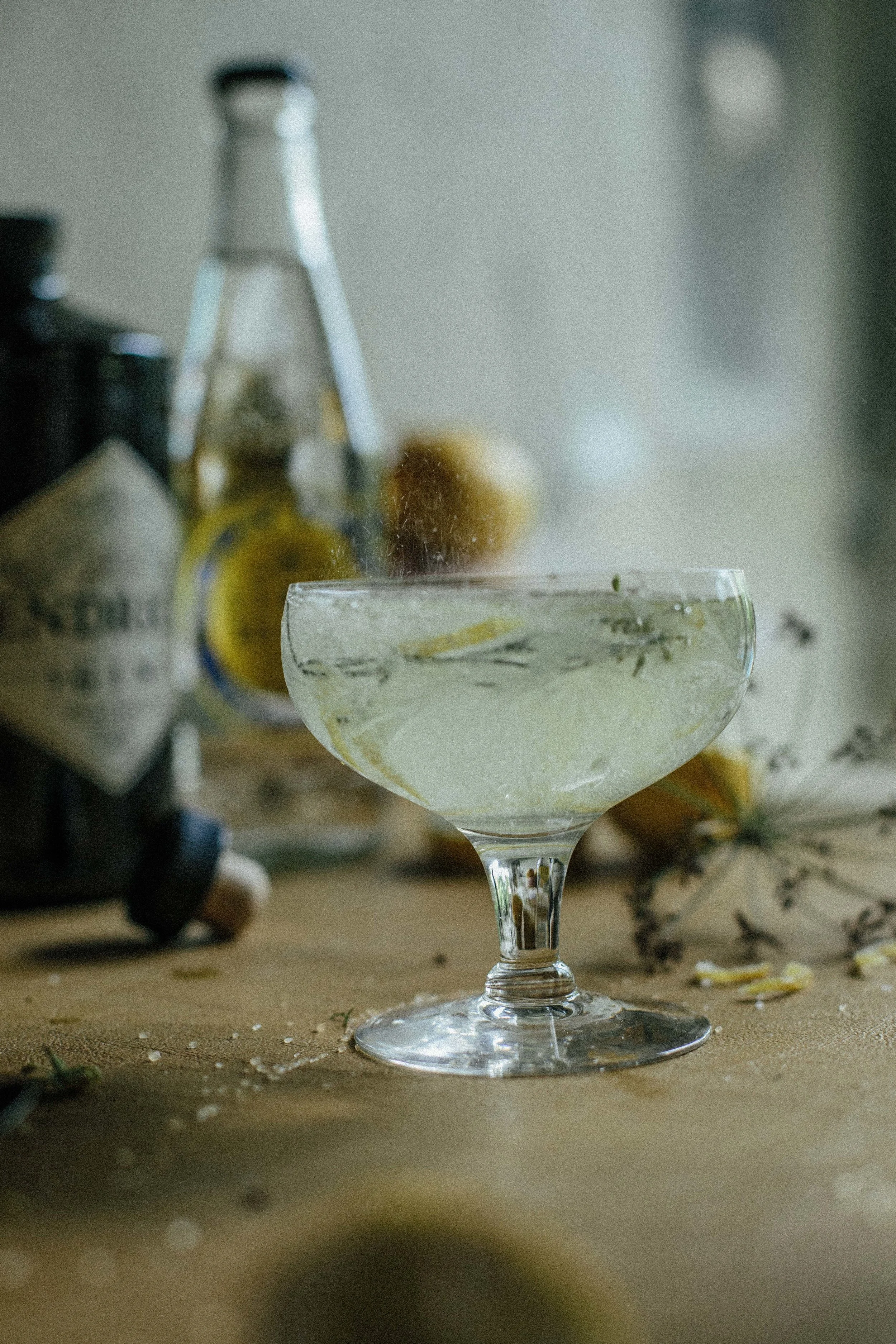FENNEL+LEMON-6216.jpg