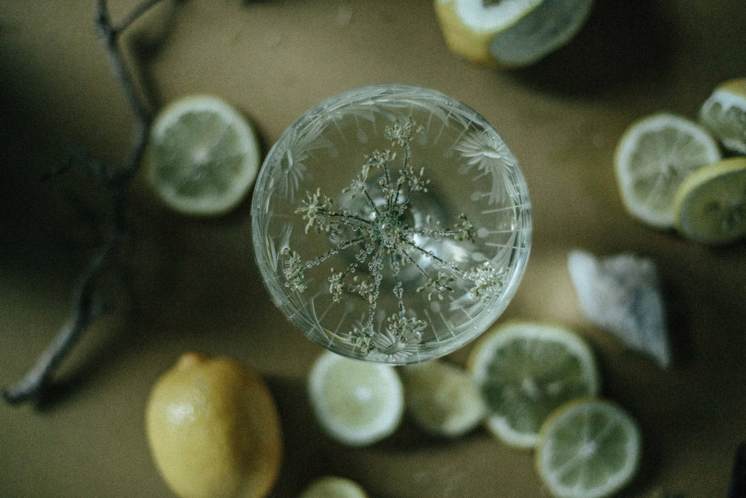 FENNEL+LEMON-6269.jpg