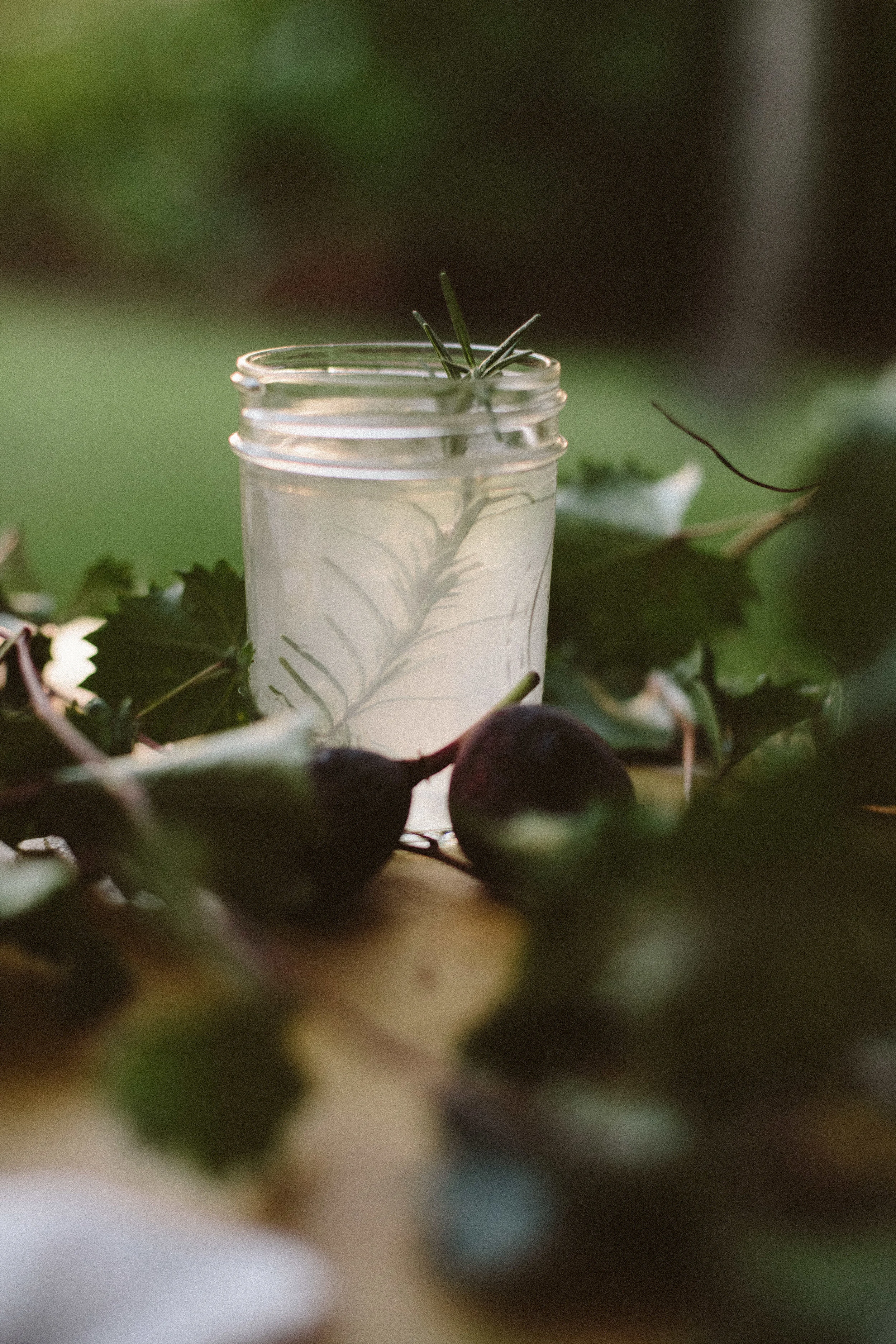 FALL + FIG-7041.jpg