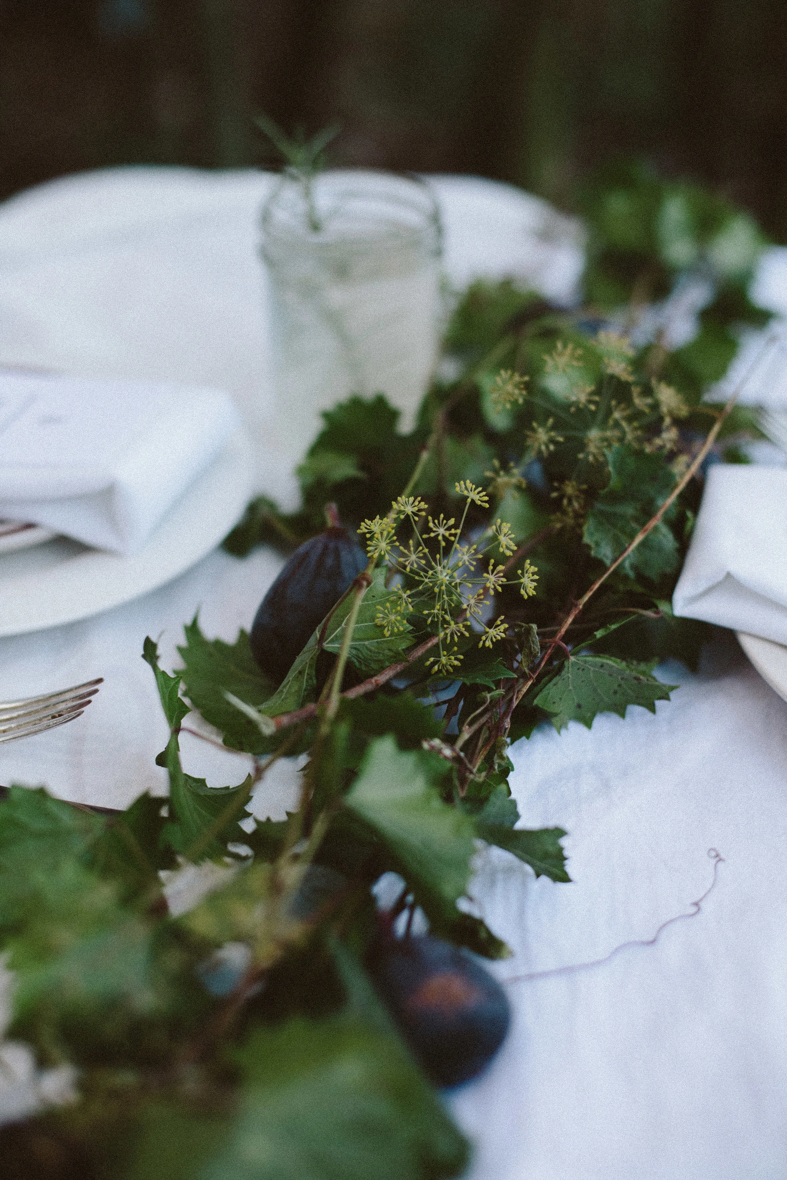 FALL + FIG-6747.jpg