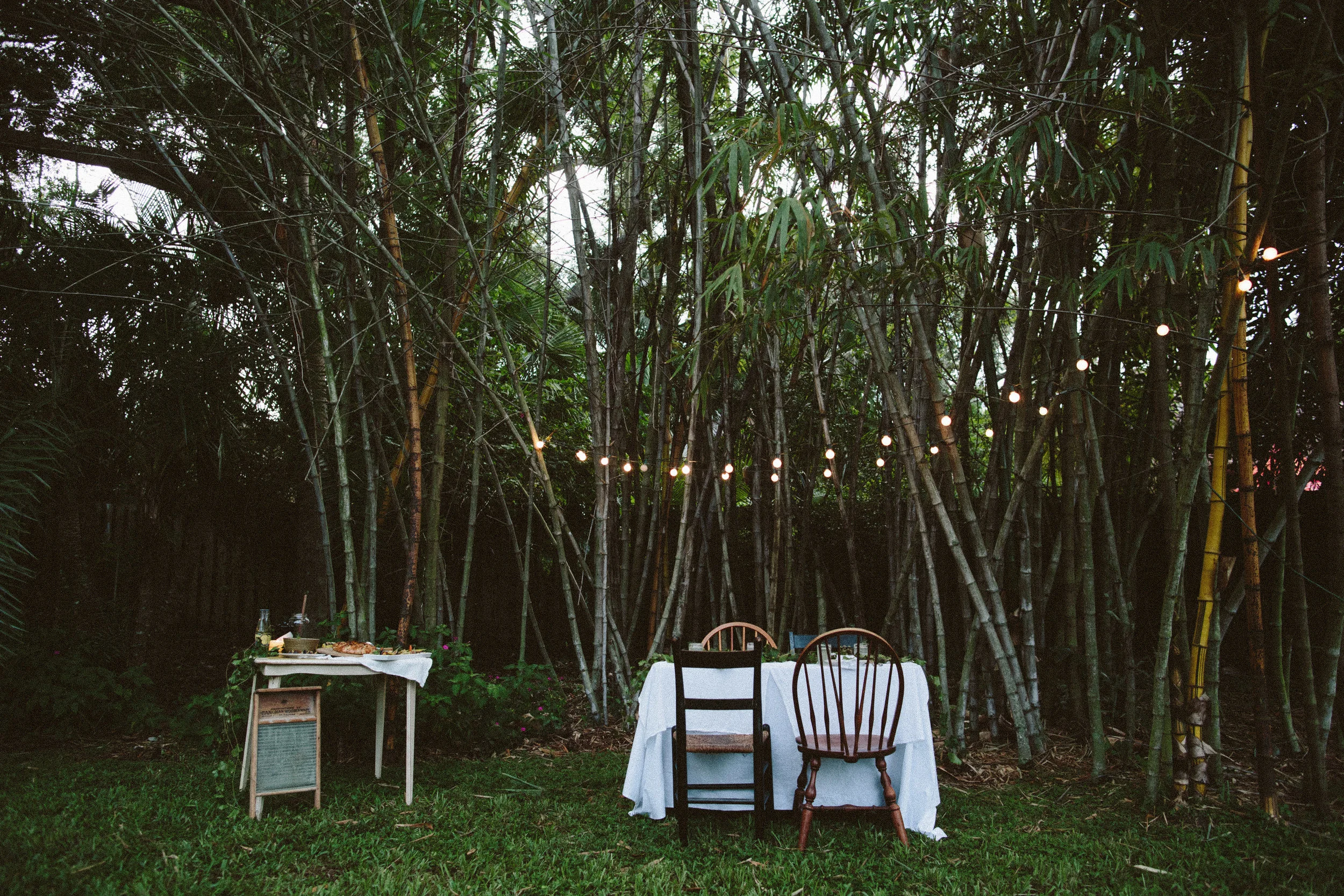 FALL + FIG-6832.jpg