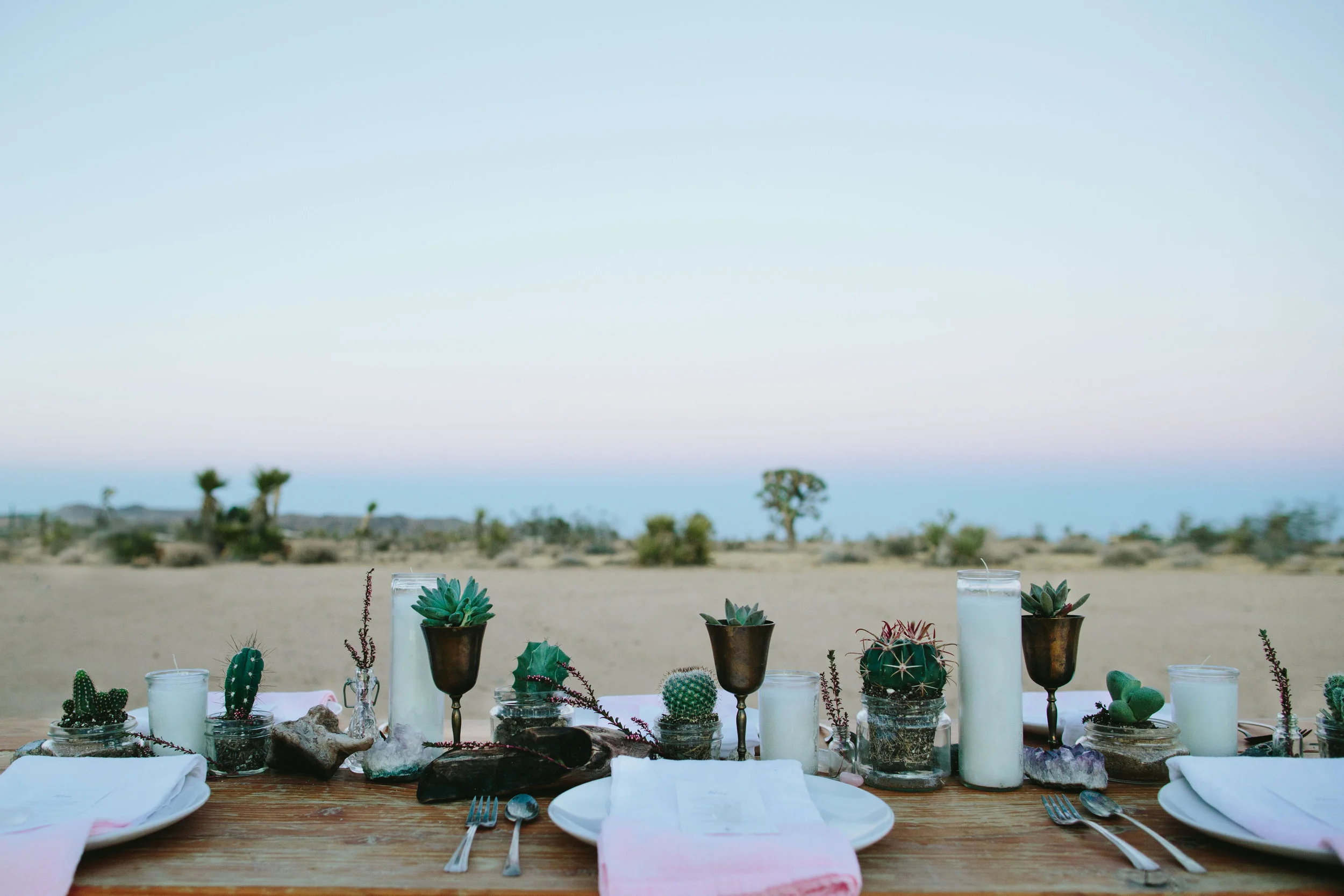 L+L_DESERT_GATHERING-3973.jpg