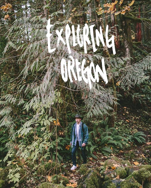 Kent and my adventures in Oregon are up on the blog ...one of my favorite photo journals I&rsquo;ve been able to put together for a while now. There was so much moss and the yellow and gold tones in the trees were pure magic.