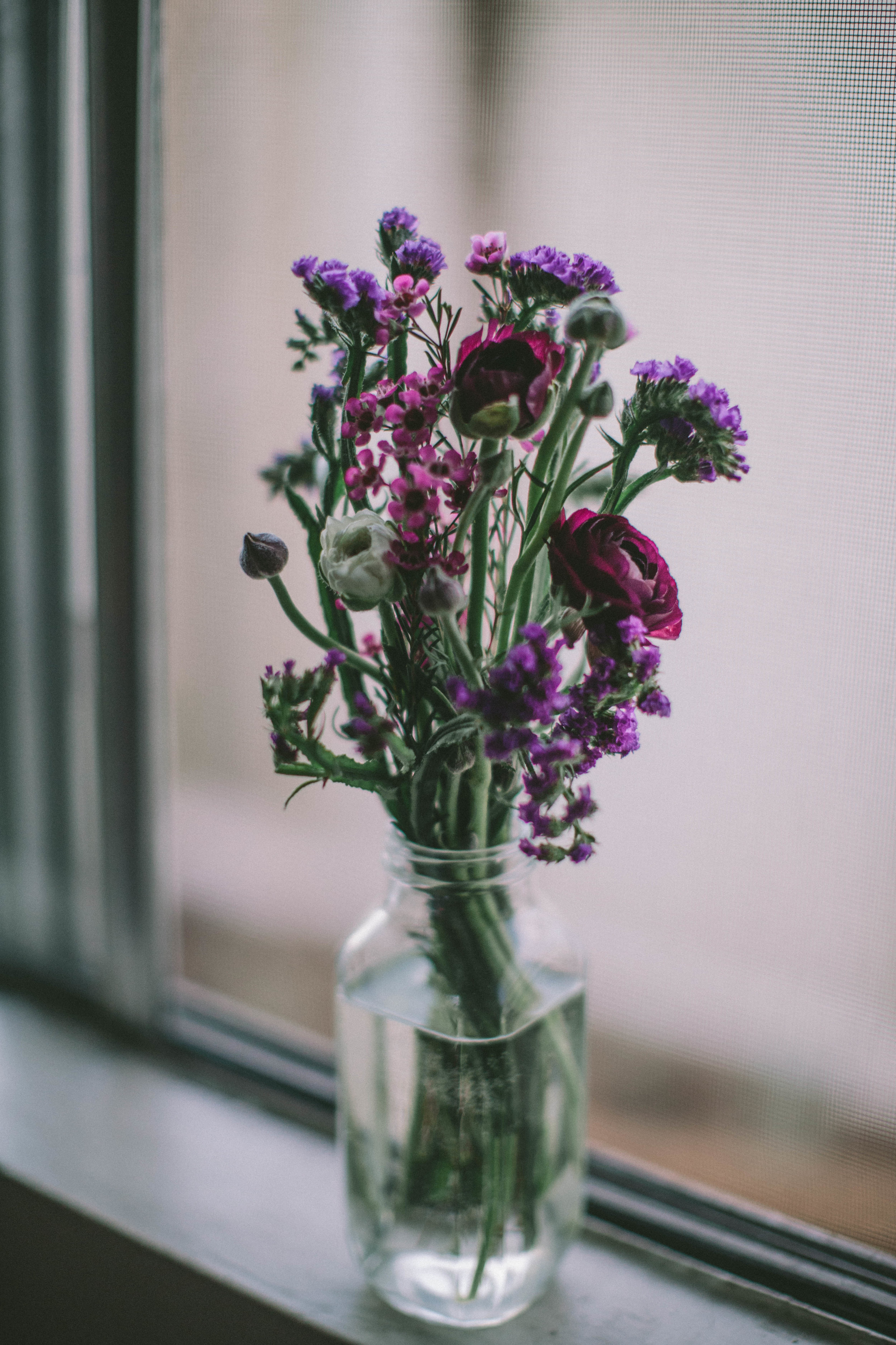 EC_PURPLE IN MARCH-2816.JPG