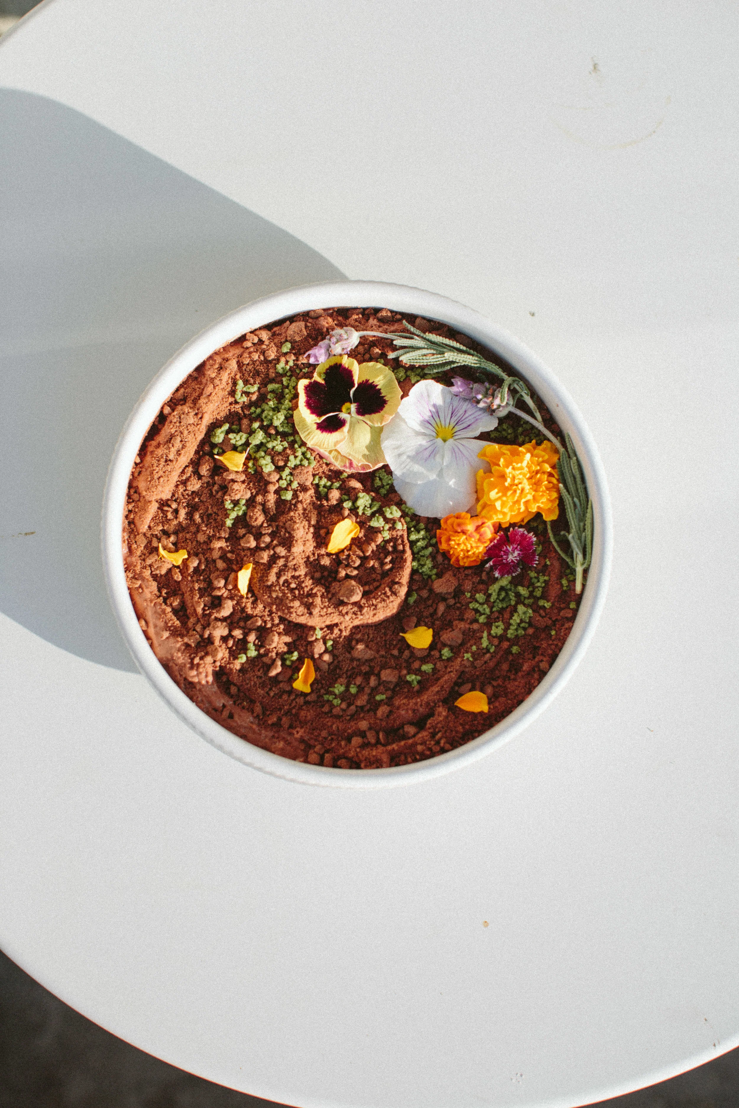 EC-FLOWERS AND DIRT-6440.jpg