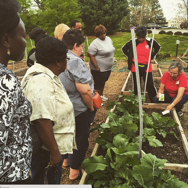 Seed to Supper students learn how to plant seeds out in the garden.