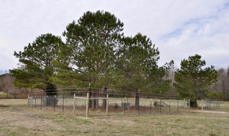 The beginnings of the new goat paddock on the farm!