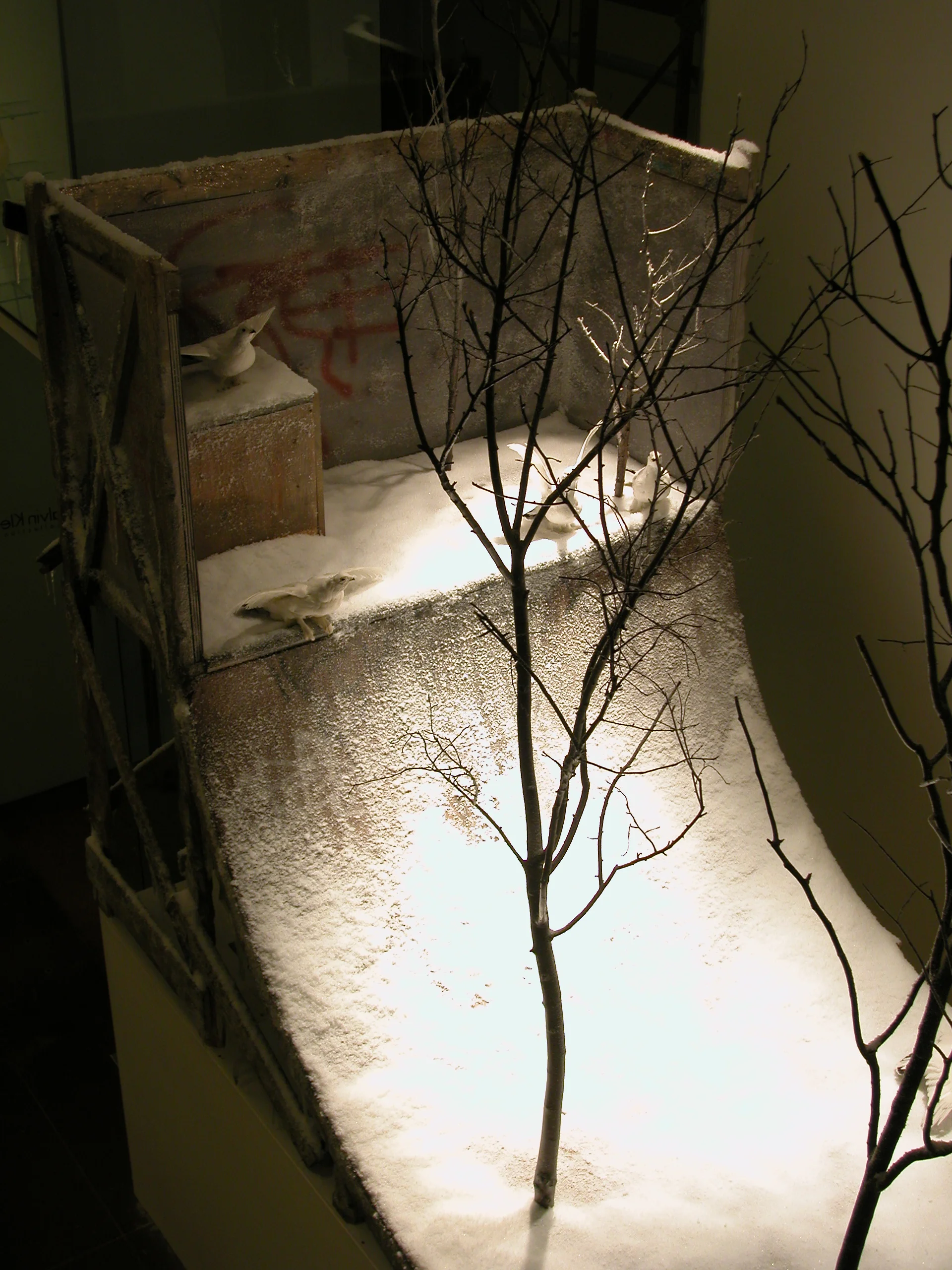 DSCN1581.JPG