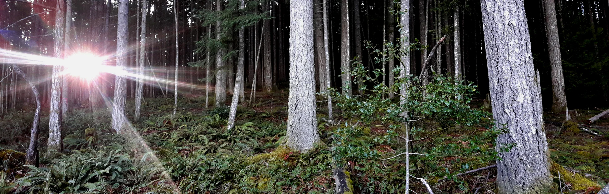 20171211_104904.jpg