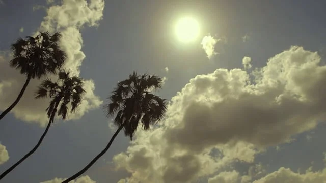 Teaser - Shadow Fighters