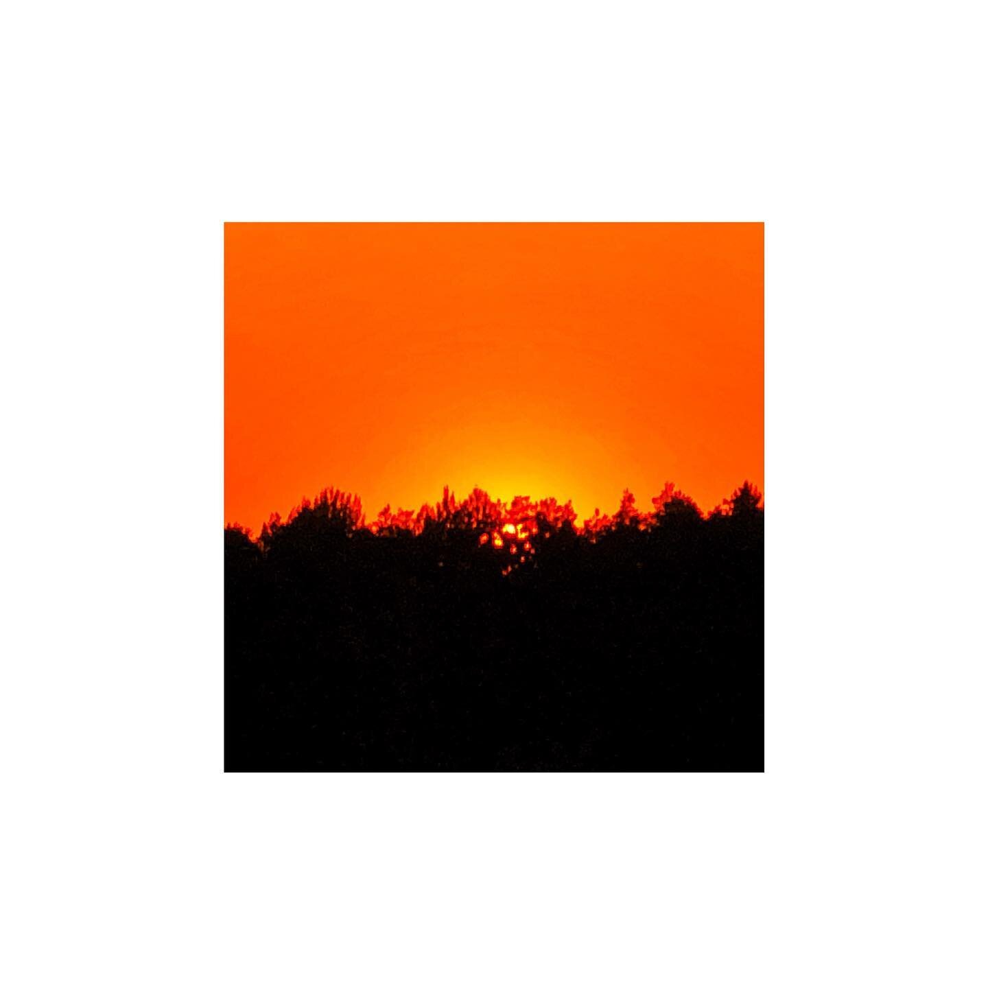 #OsloSun#orange#summersunset#sunbehindtrees#Aspond#Oslofjord#shotoniphone#nofilter#extremezoom#digitalzoom#orangeandblack