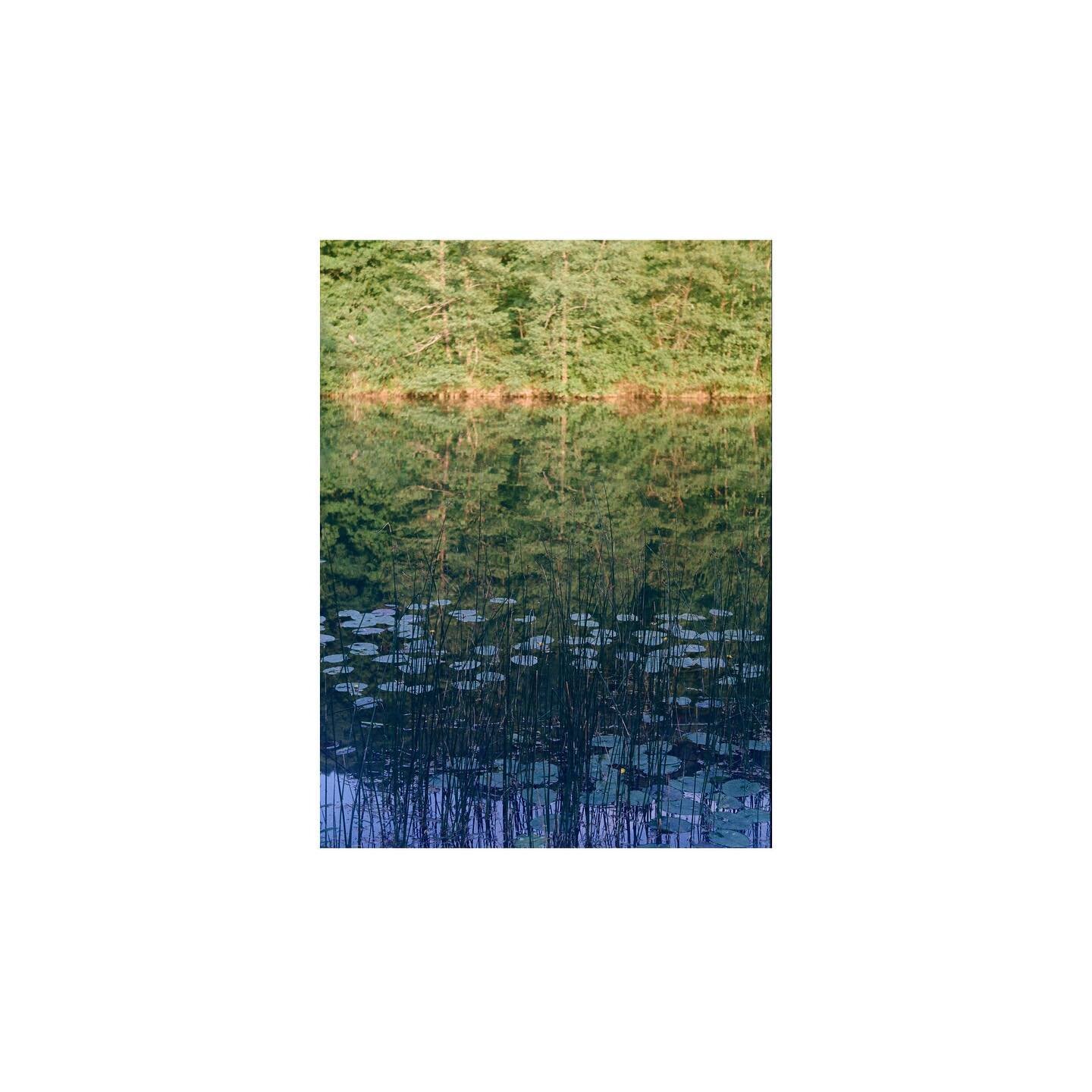 #Lakeview#greenandblue#Mreznica#lilypond#forest#patternsofnature#analogphotography#fujica#kodakgold200 @robinzonski_kamp_mreznica