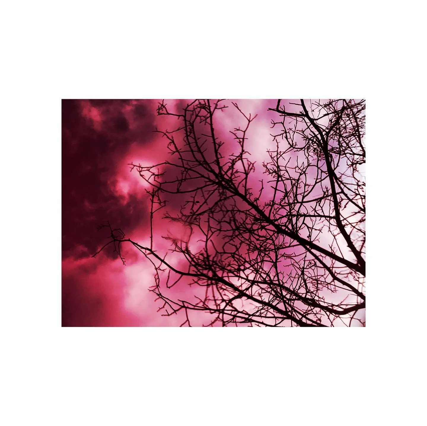 Reflection in my fruit tea #fruittea#purplesky#teatime#iphonephoto#reflections#reflectionphotography