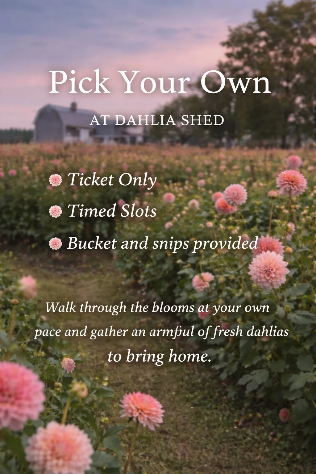 pick your own info.jpg