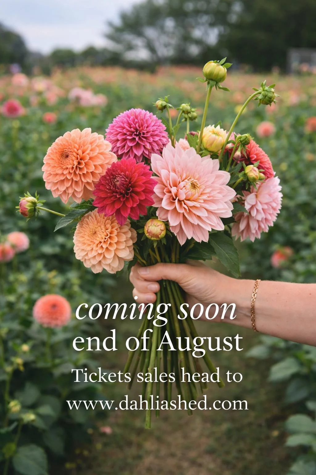 pick your own date.jpg