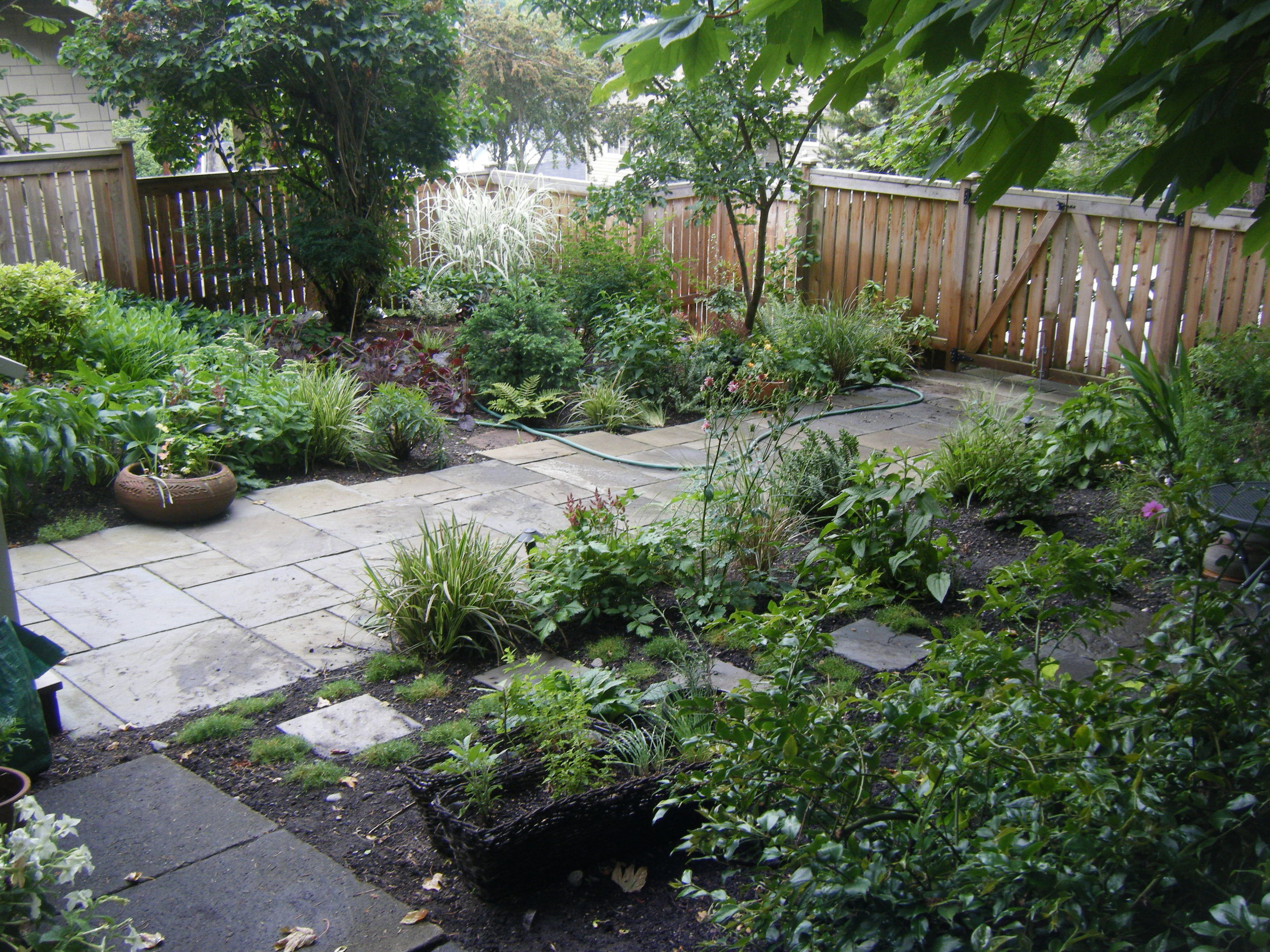  During a renovation project at Deborah's, I worked closely with the contractor to help design the deck and the new pathway. The end result made the garden look clean and refined. 
