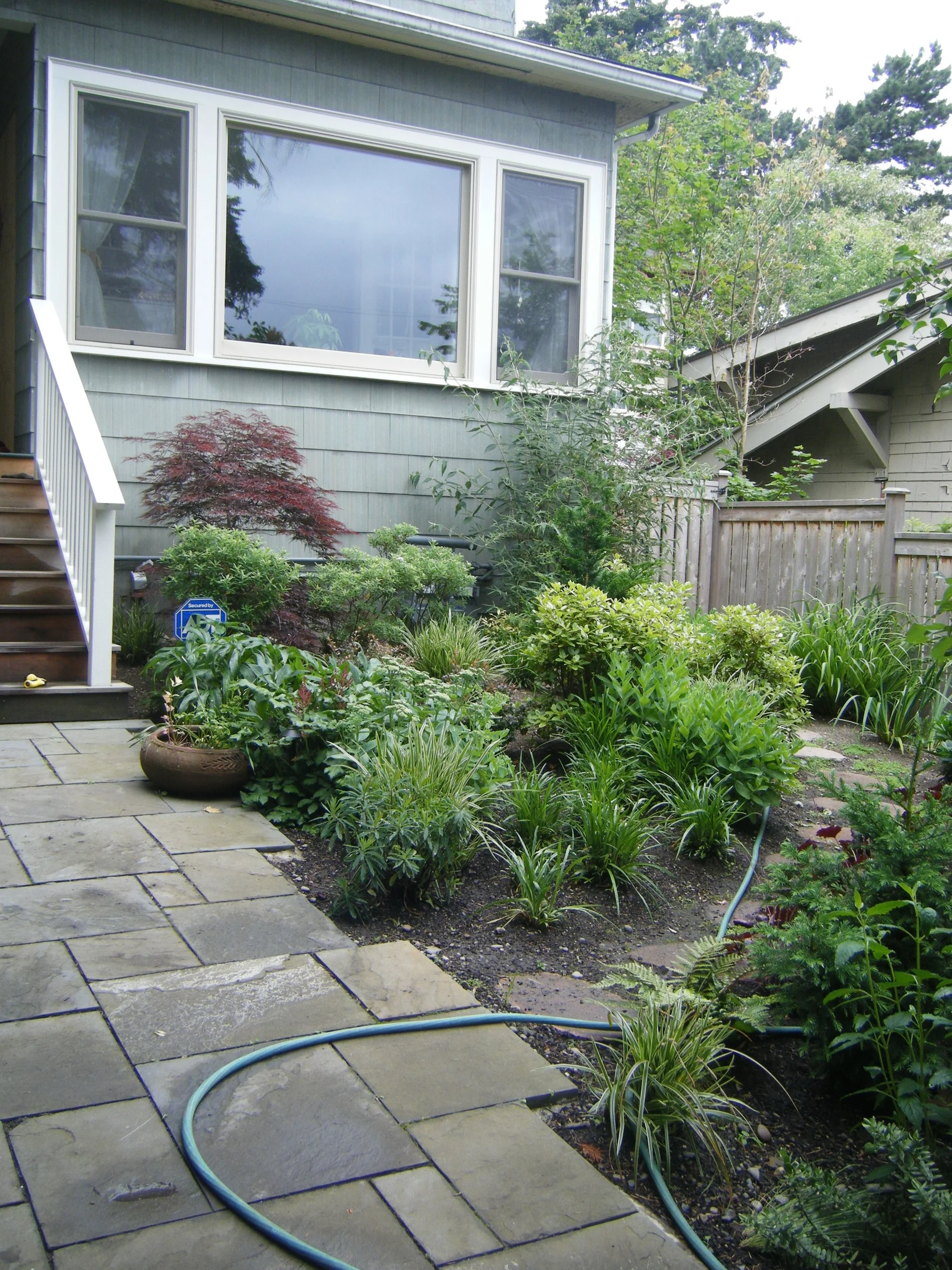 DSCF0381.JPG