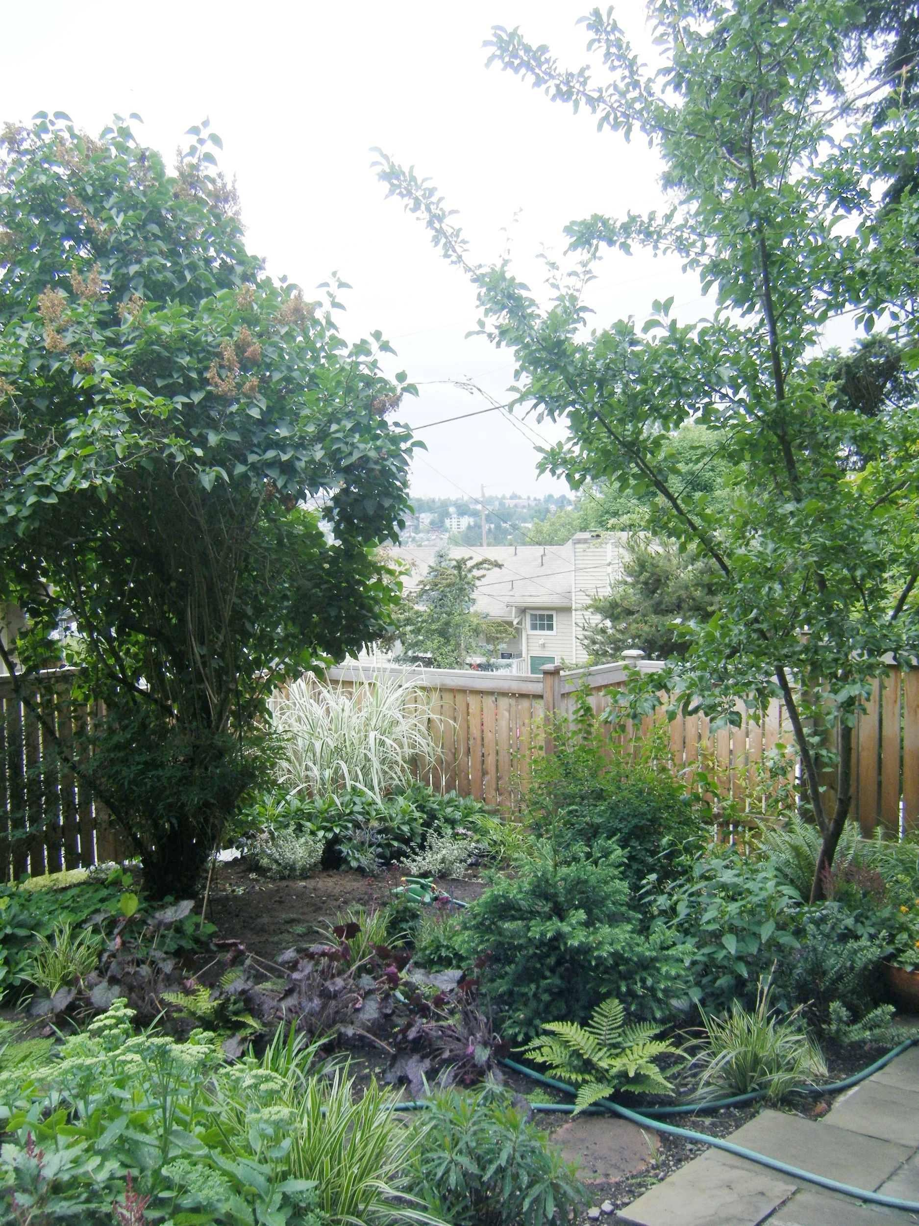 DSCF0380.JPG