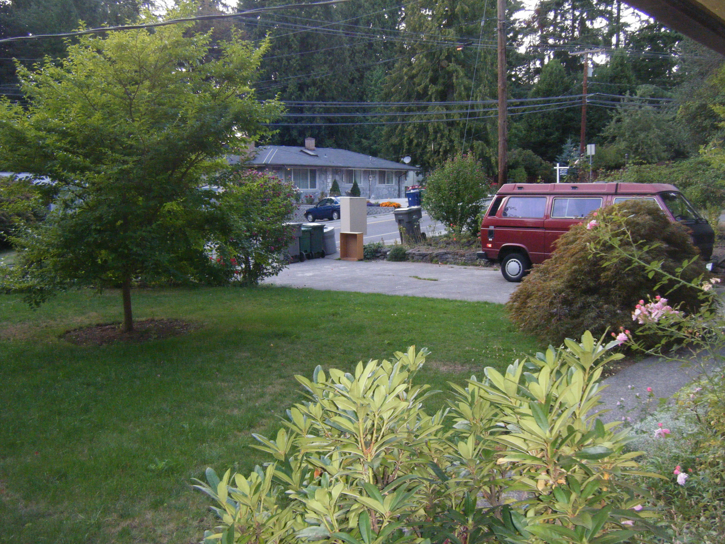 DSCF0591.JPG