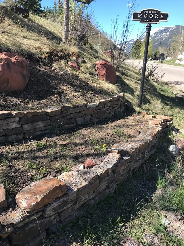 Before planting 2.JPG