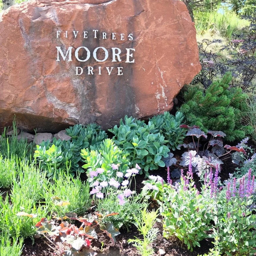 Moore Drive Sign.JPG