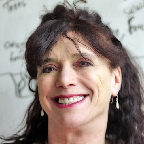 Debora Marks, Ph.D. is Associate Professor of Systems Biology at the Inaugural Director of the Raymond and Beverly Sackler Laboratory at Harvard Medical School. After a career in the pharmaceutical industry, she obtained her PhD in Mathematical Biology from Humbolt University where she was the first to define and quantify the potential targeting scope of microRNAs and their combinatorial regulation of protein expression. Marks conducted her postdoctoral work at Harvard Medical School where she developed an evolutionary approach to accurately predict large pharmaceutically relevant membrane proteins (600 amino acids), and the 3D structures of multi-protein complexes.