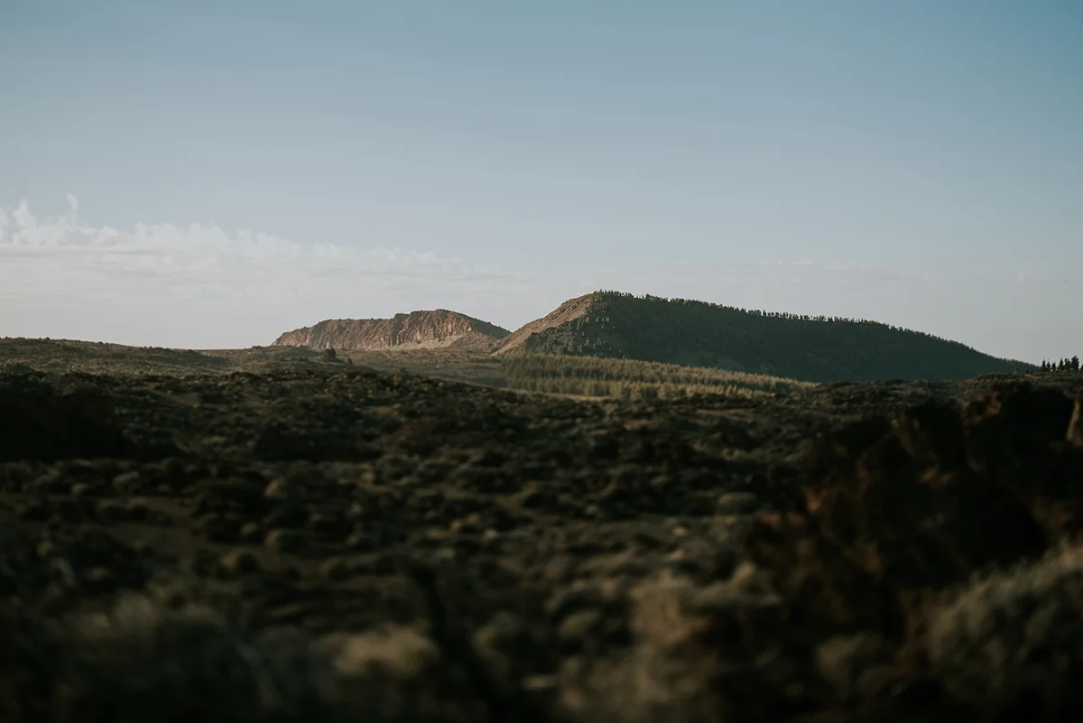 161114_Teneriffa_484.jpg