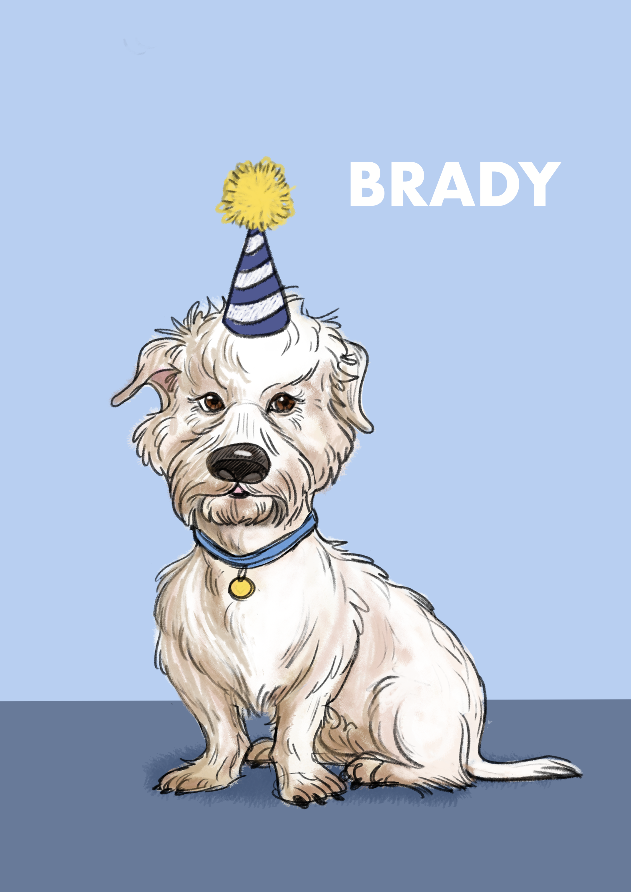 brady.png