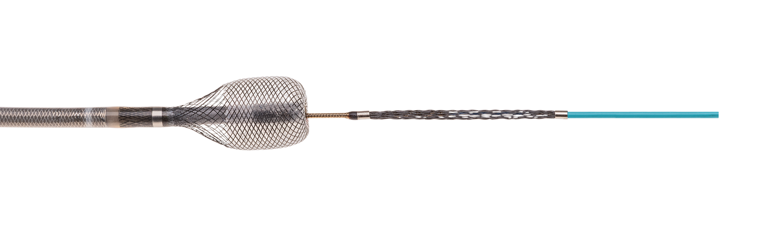 capture vascular-2.jpg