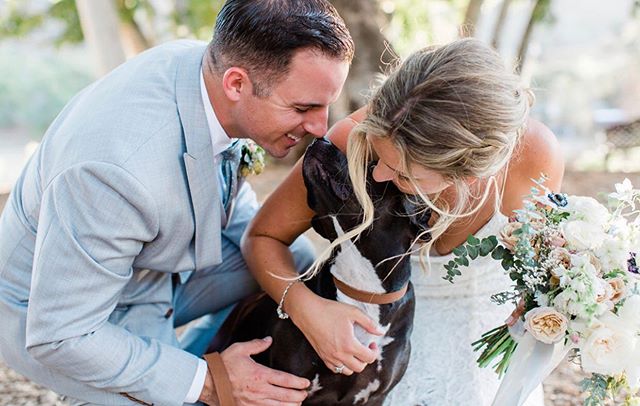 FEATURED ON @shinewedding TODAY!!!! @bartoosh ❤️❤️❤️ | Photo @wisteriaphotography | Design @twoheartsevents | Florals @penelopepotsfloraldesign | Venue @triunfocreek | Dress @emmy_mae__bridal |