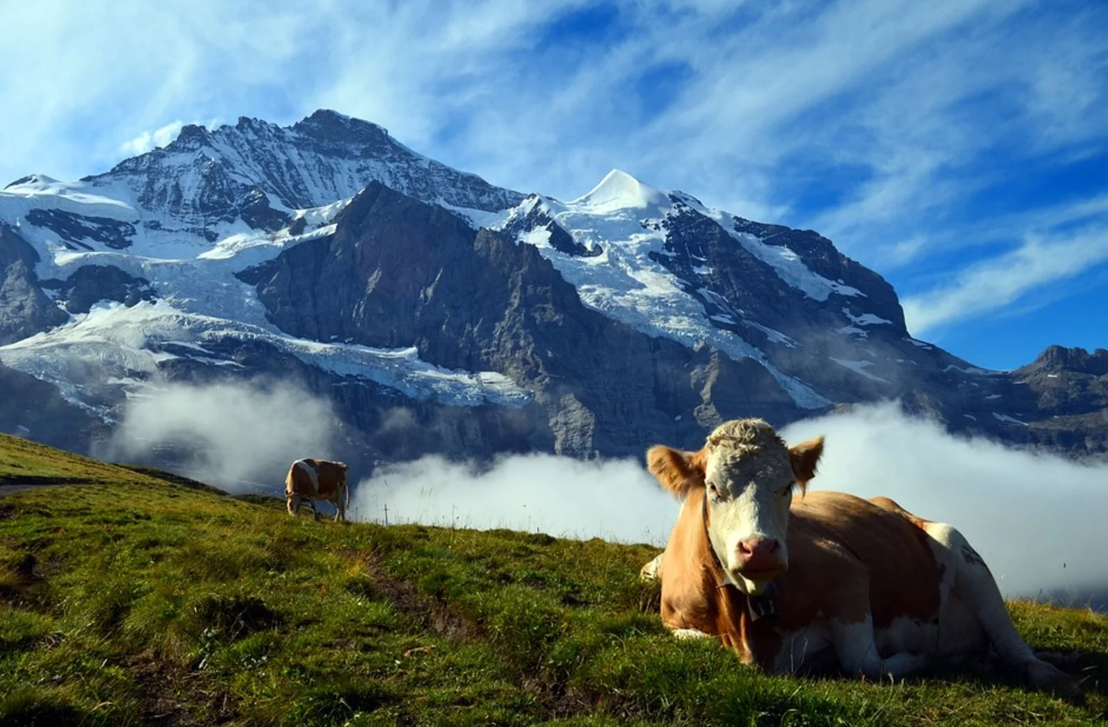 What is the "most innovative" country for robotics?