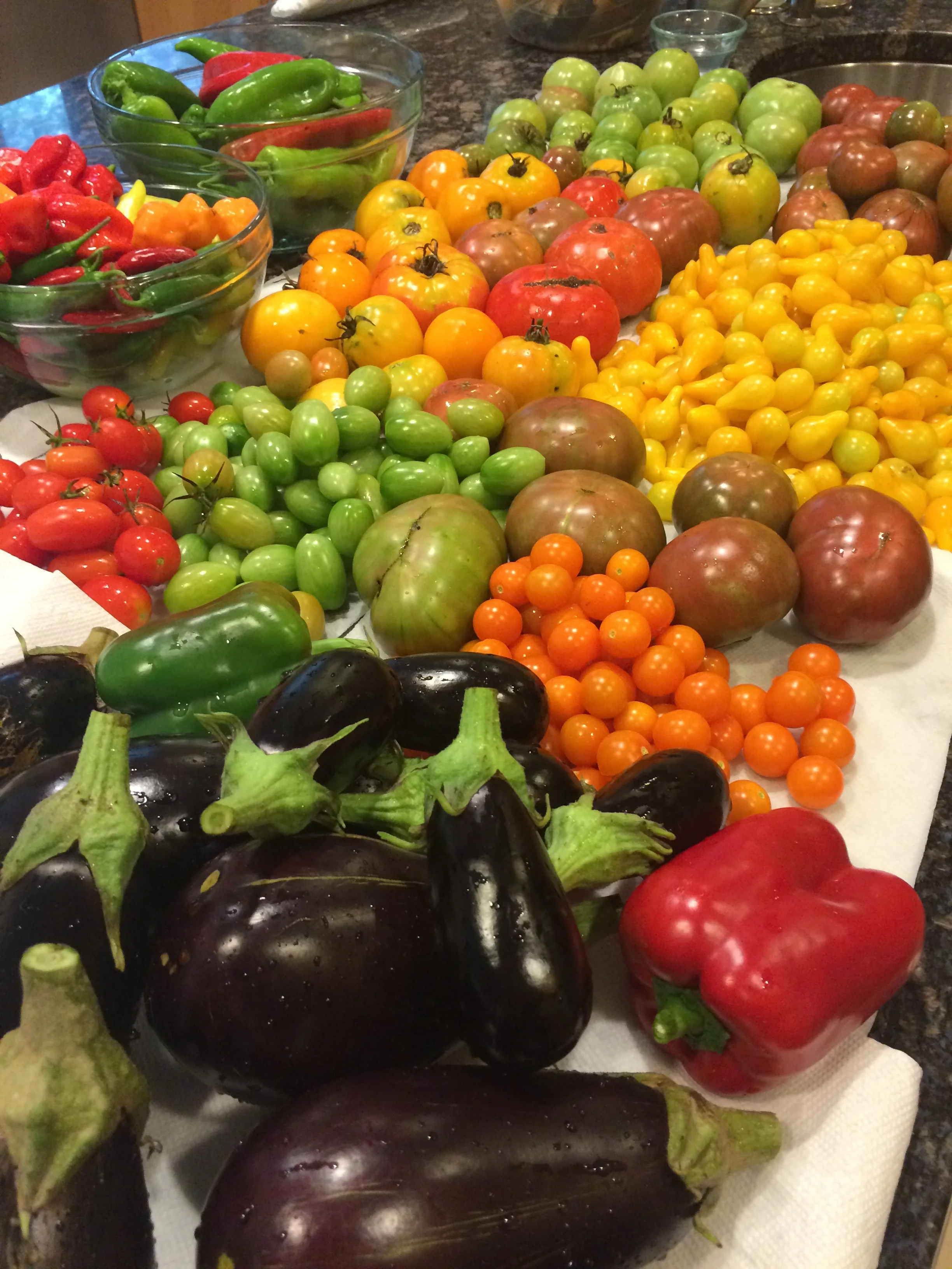 My counter overflows with summer goodness…