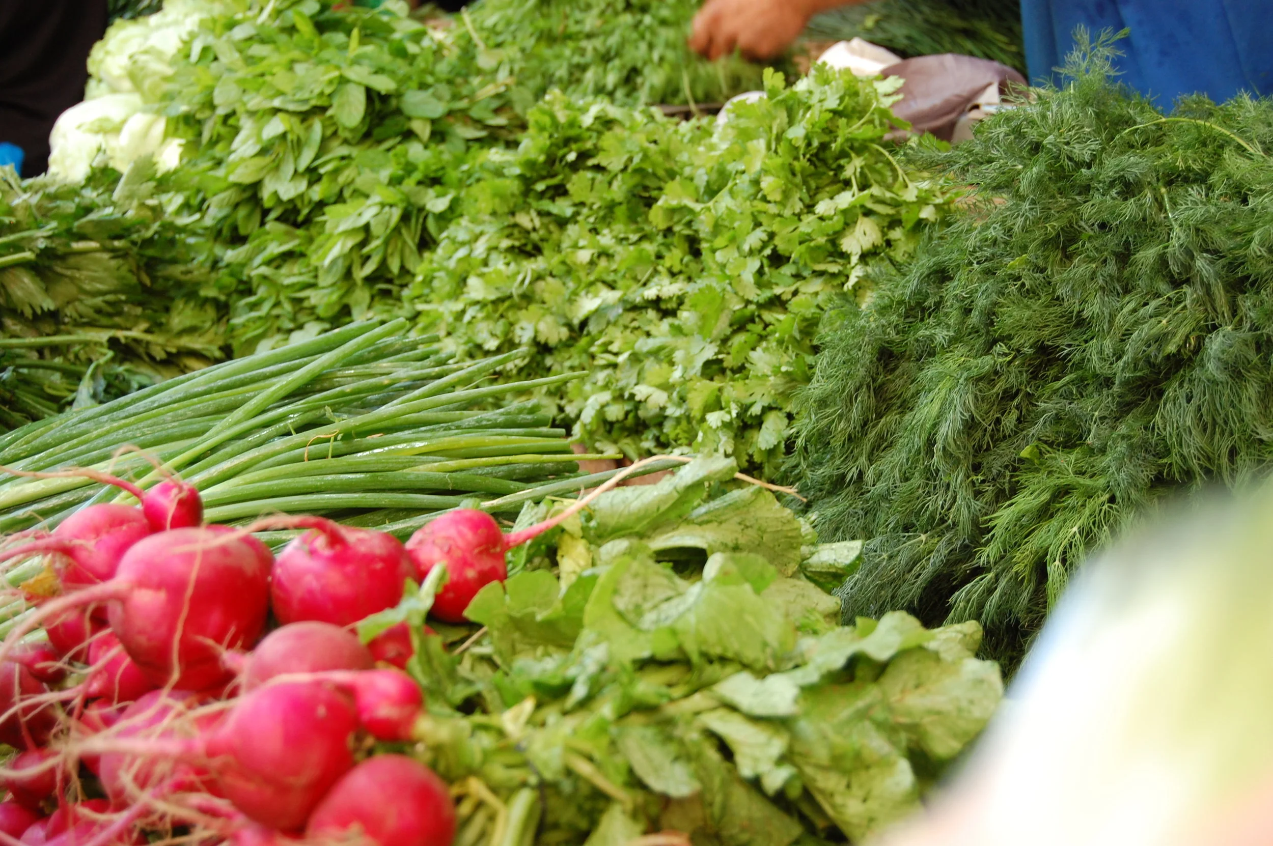 Abundant herbs at the Tel Aviv Carmel Market