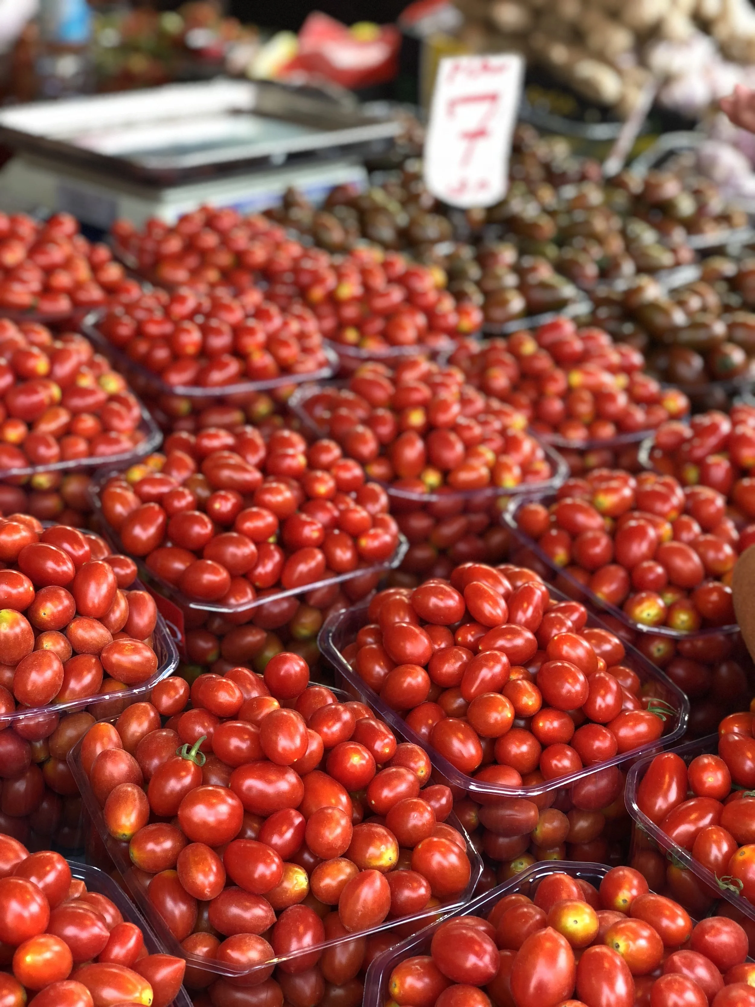 Able Veget-Able - Participation Class