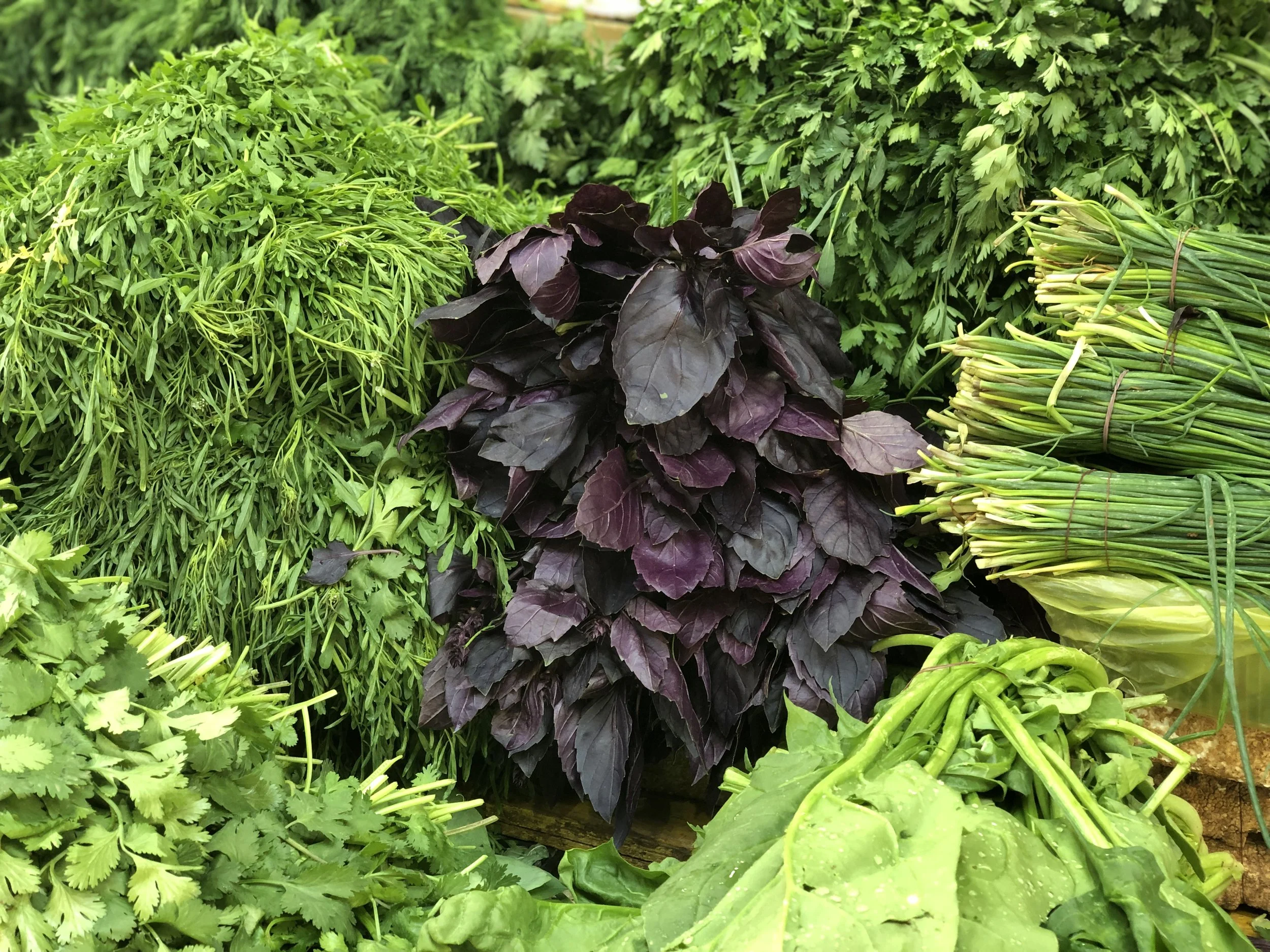 Mediterranean Meets MN Farmers Market