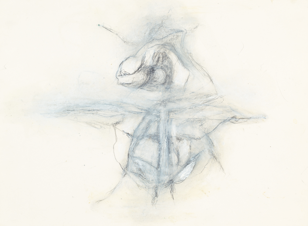 Hedda Sterne, Insect, August 23, 1999 , Graphite and oil pastel on paper, 9 3/8 in. x 12 1/4 in.; Collection of The American Macular Degeneration Foundation, gift of Claire Nivola