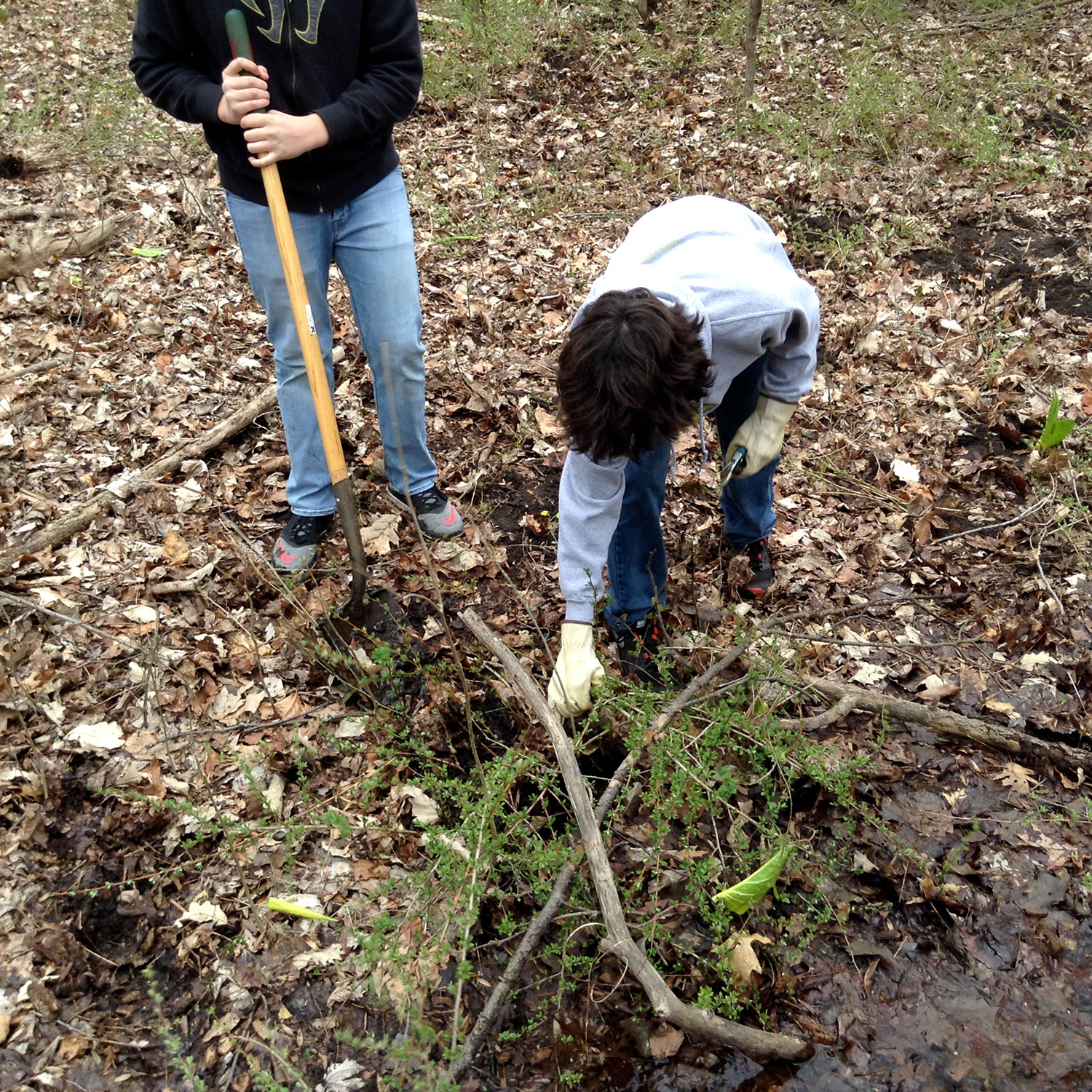 students working outdoors