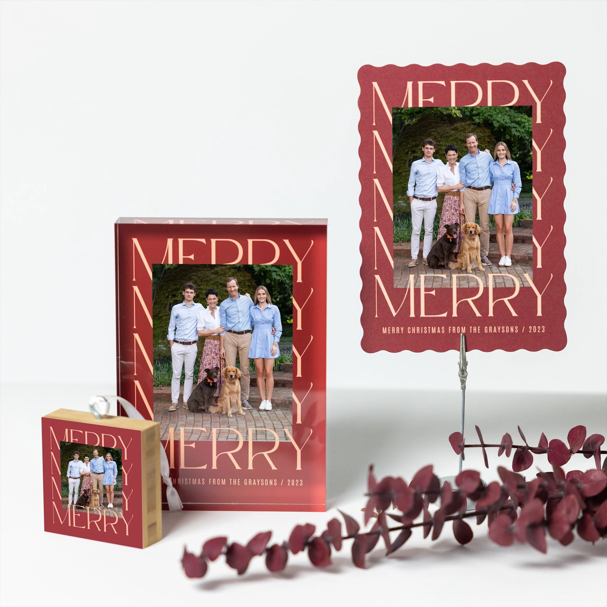 Charlotte family photography