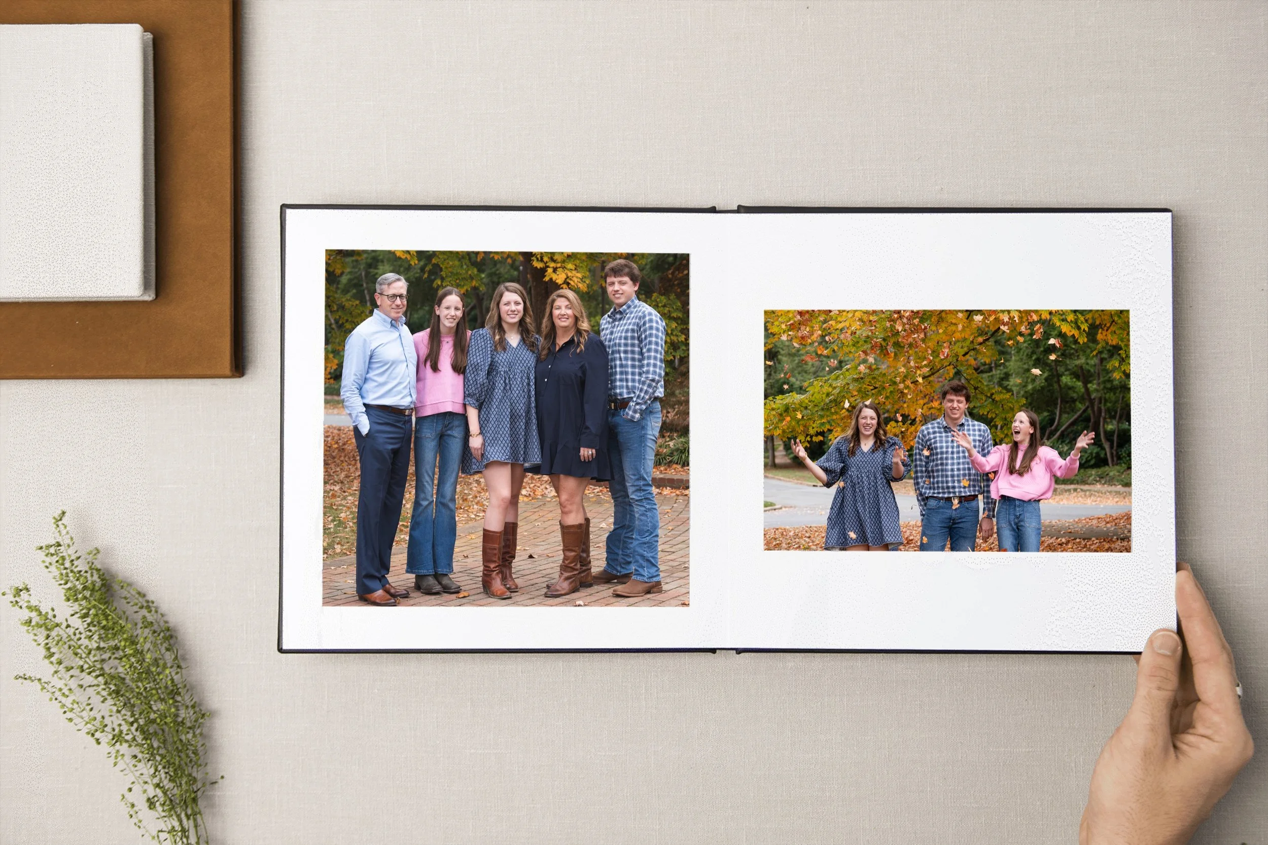 fall leaves for photo album Myers park NC