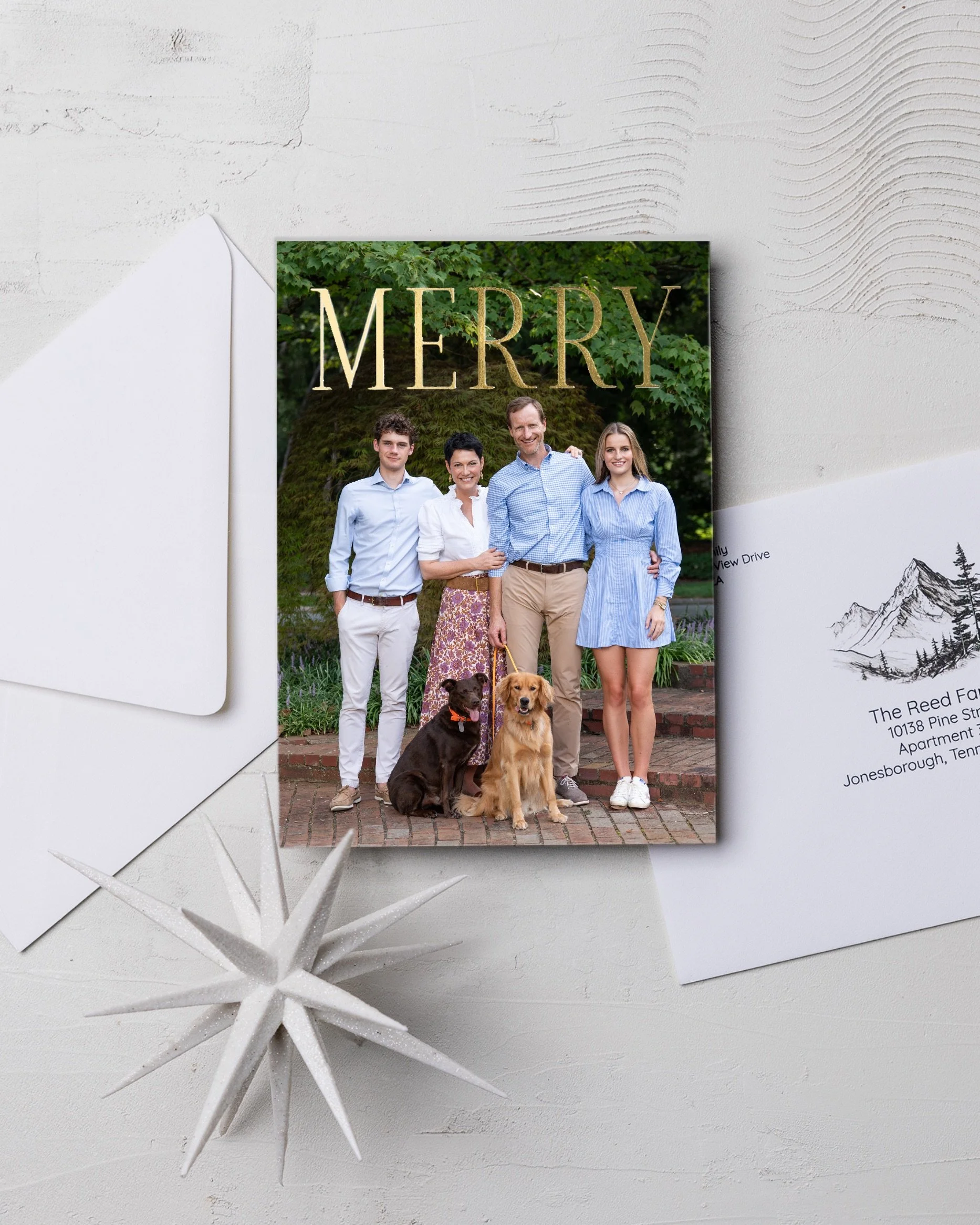 Christmas cards photography session for Charlotte family