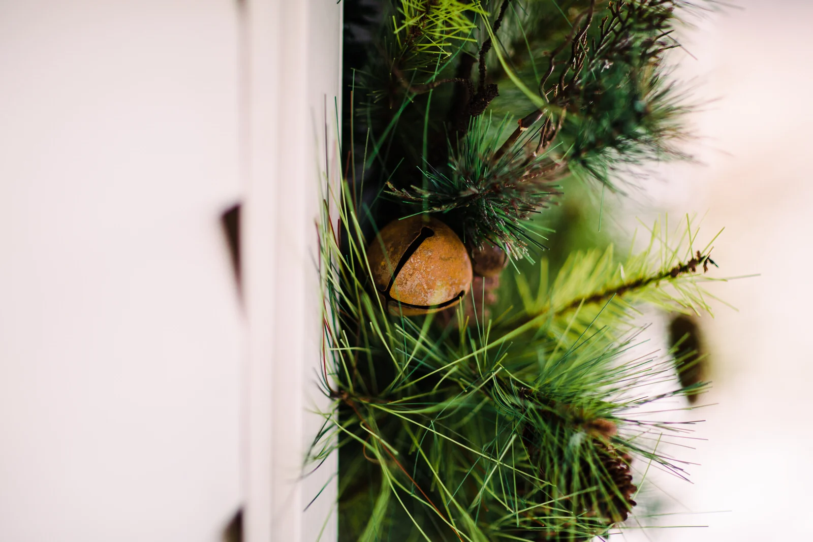 StacyPearceCreative-DeweyWedding-222-9442.jpg