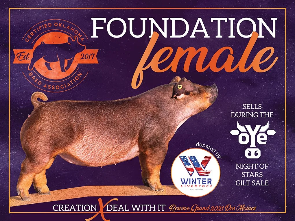 FoundationFemale_Banner2023_web.jpg