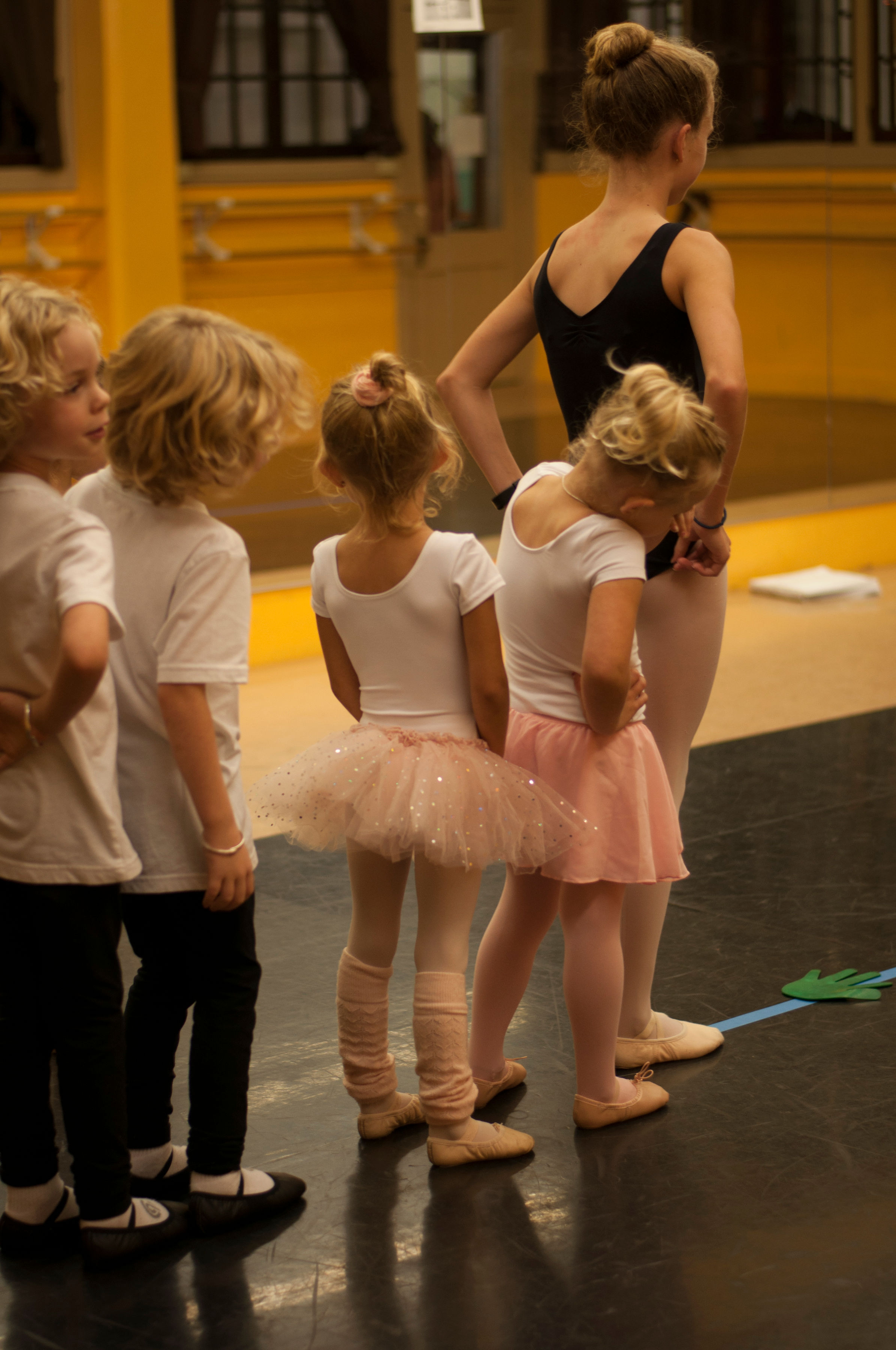 Leap 'N Learn Curriculum — Dance Gallery of South Dakota - A