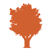 static1.squarespace.png