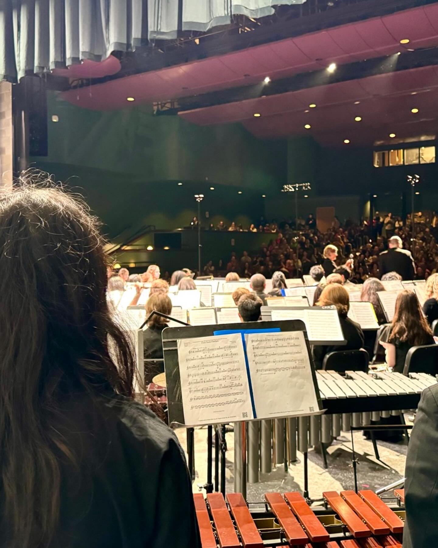 🎶 Grateful for an Incredible All-District Honor Band Concert! 🎶

Thank you to our outstanding BSD school band directors, guest conductors, and supportive parents for making the All-District Honor Band Concert at Westview High School such a memorabl