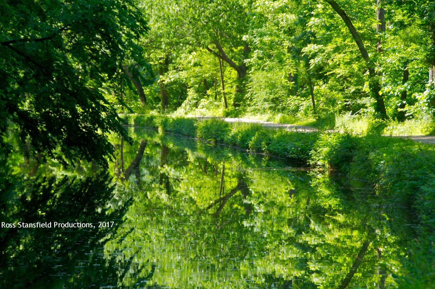 Canal reflections Summer