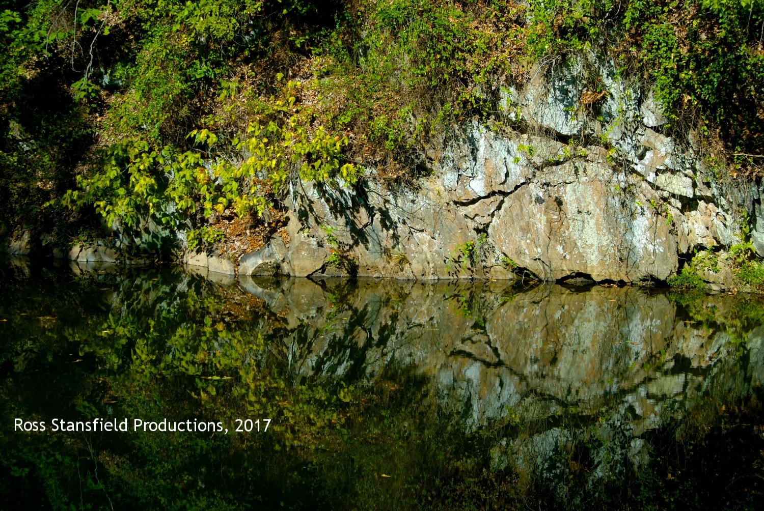 C & O Canal cut