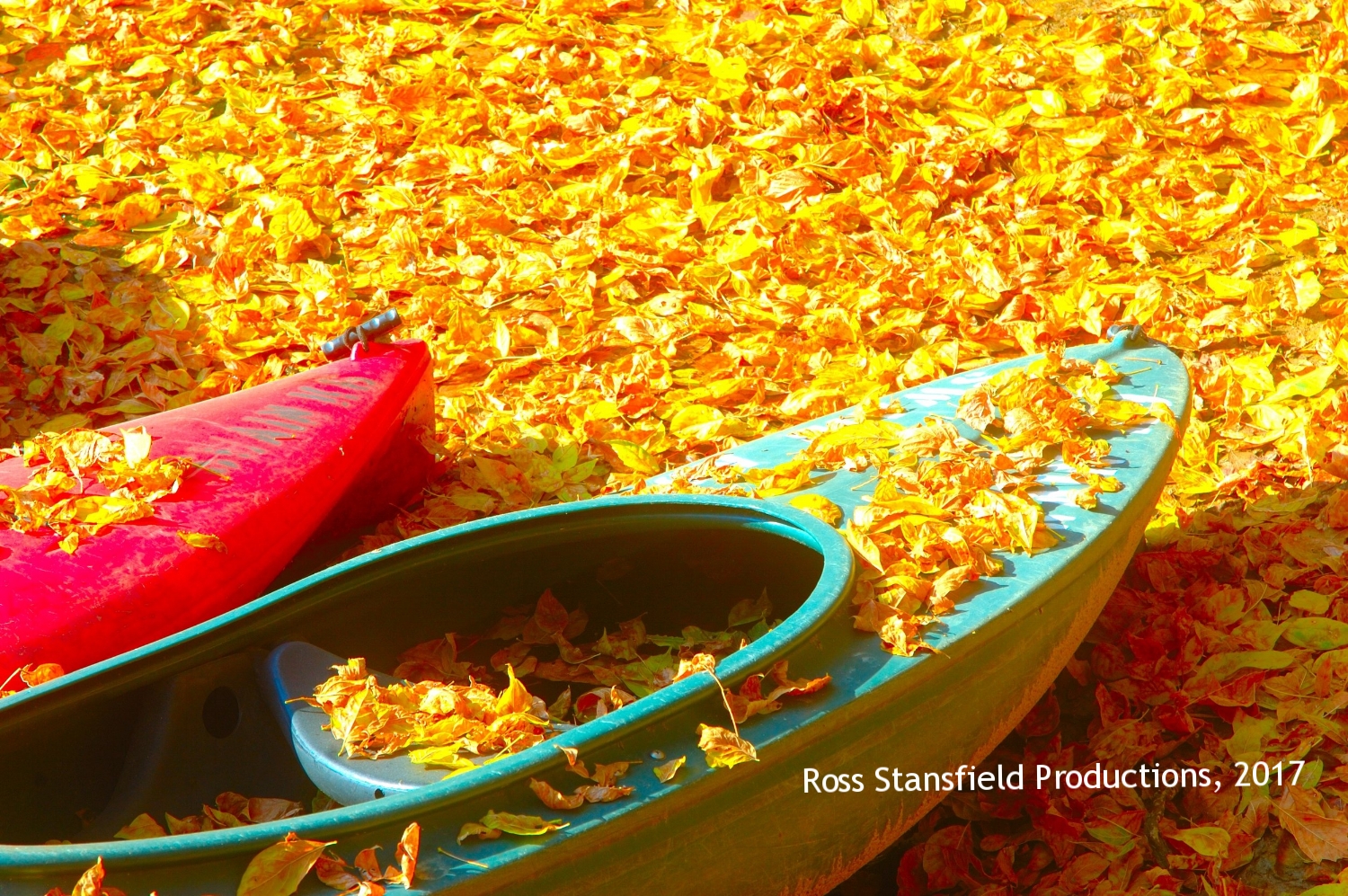 Rental Kayaks last season Swain's Lock in the Fall