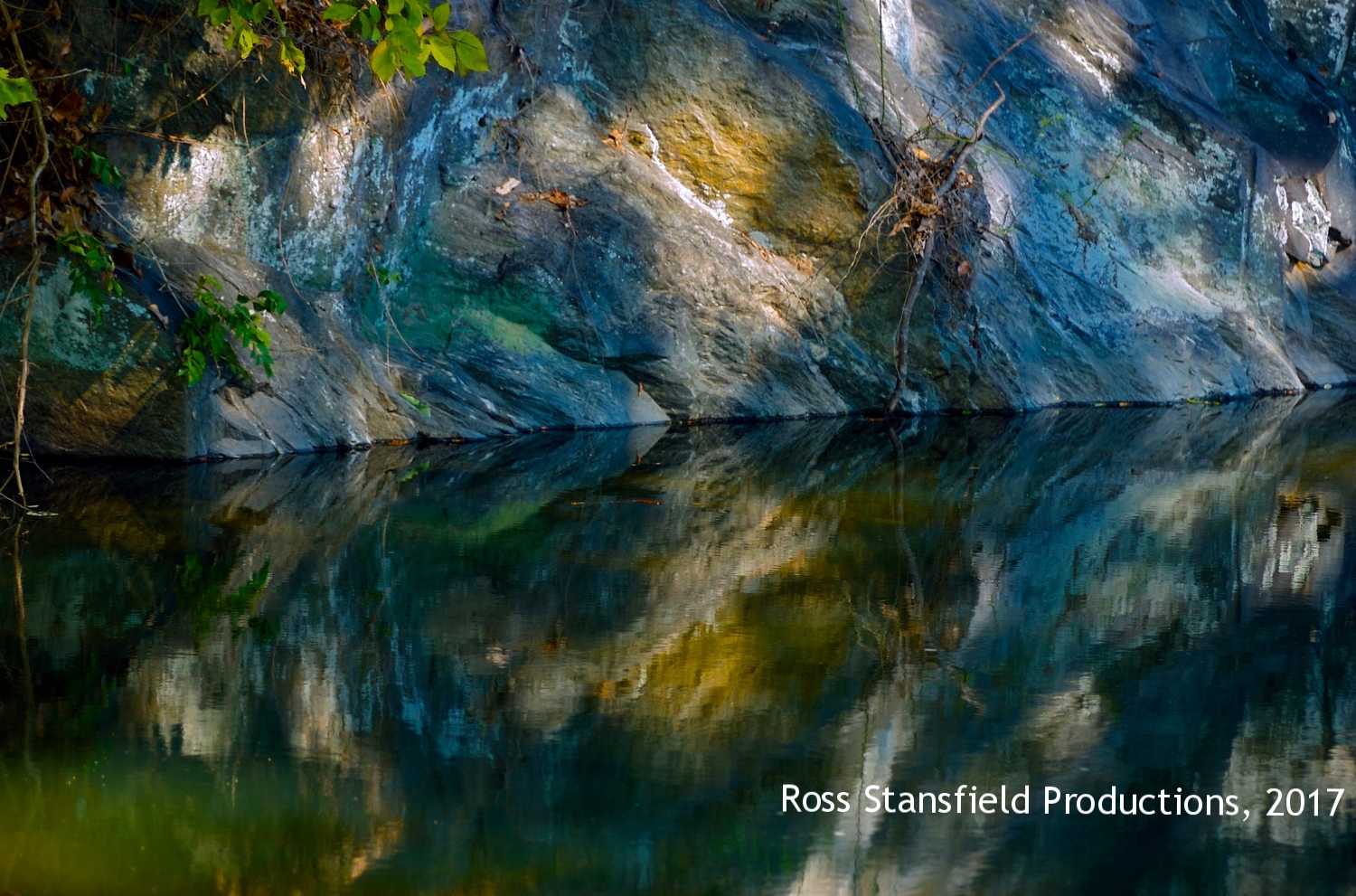 C & O Canal Reflection